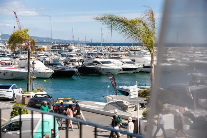 Banus 131 — image 2